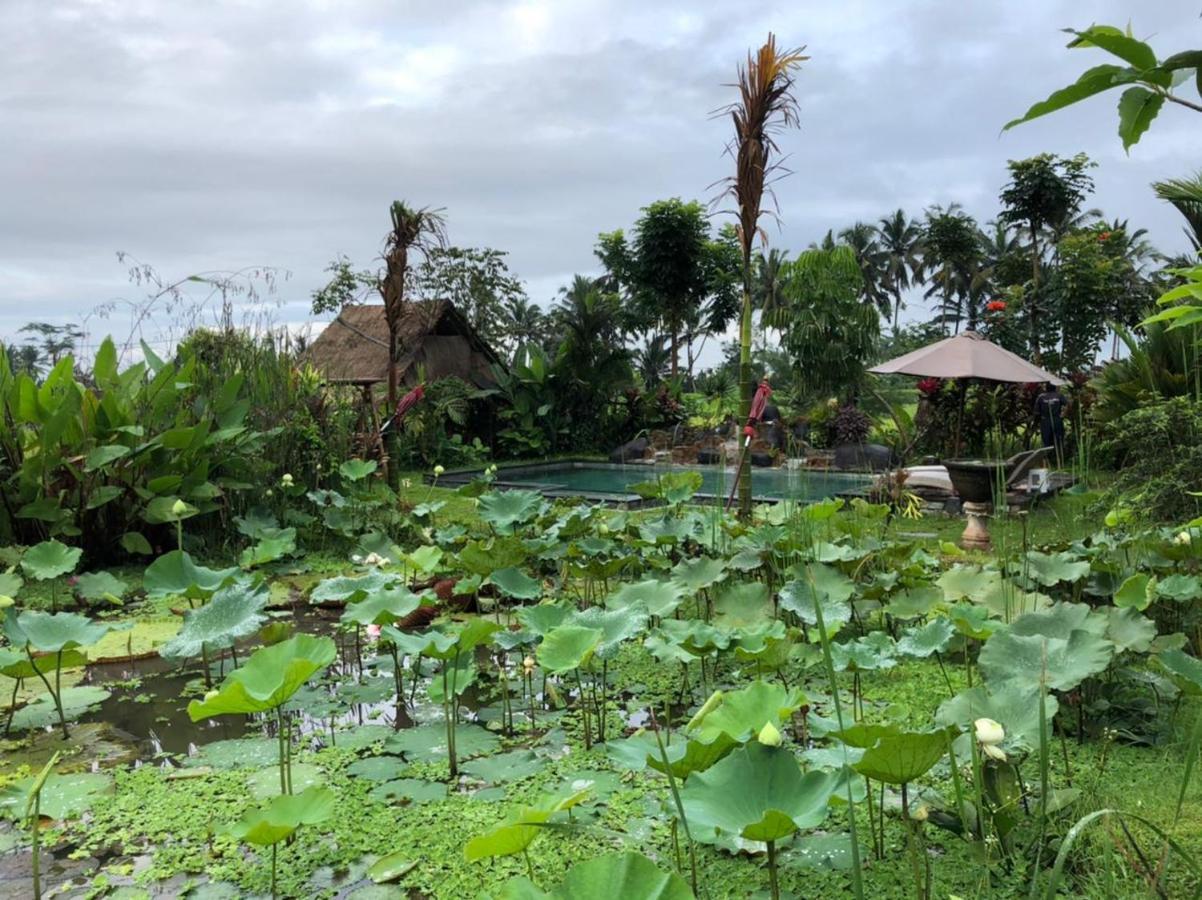 Leke Leke House Tegallalang * Ubud