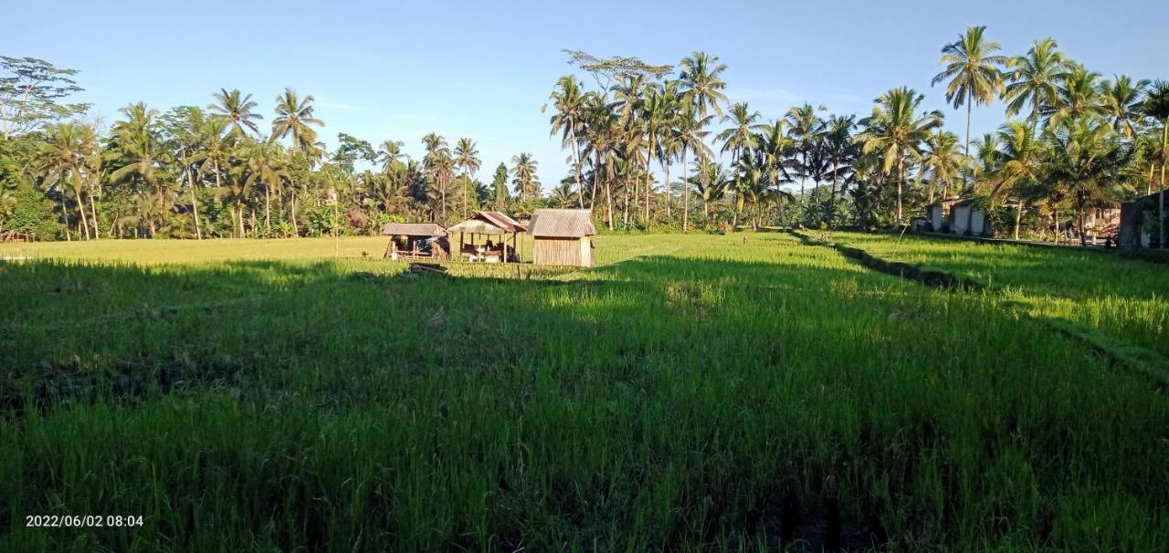 Leke Leke House Tegallalang Alojamento *