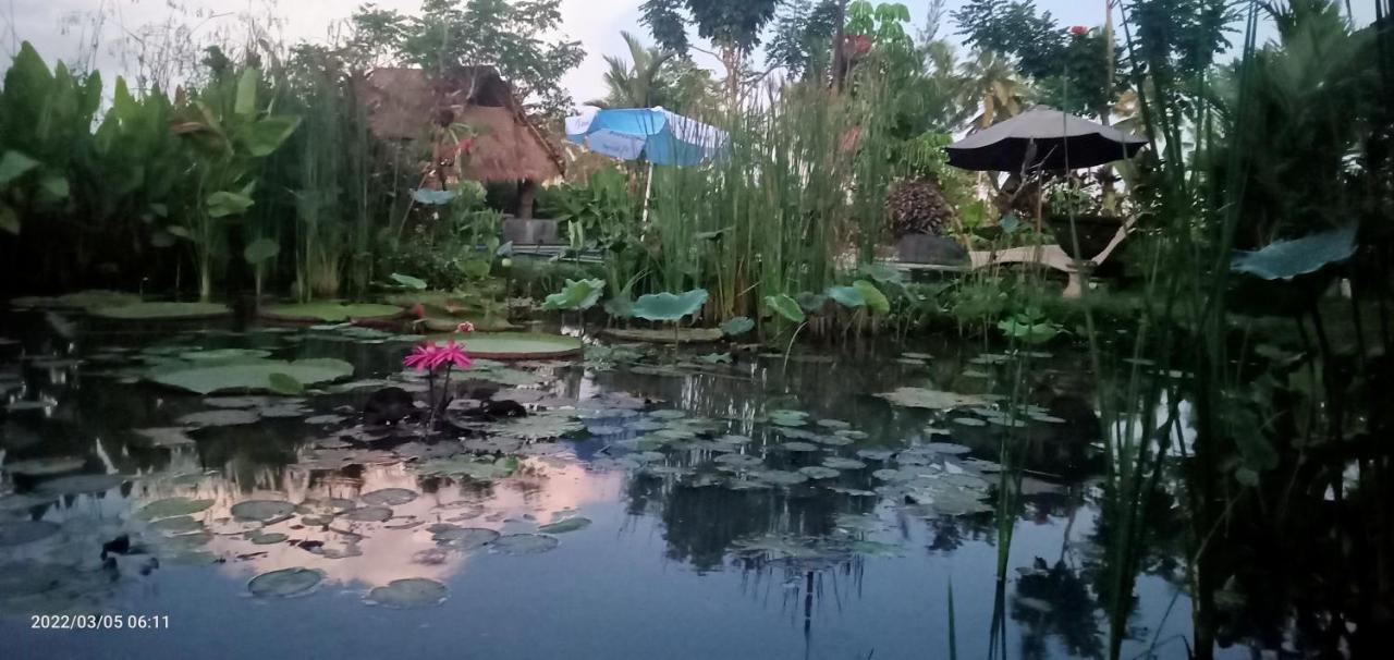 Leke Leke House Tegallalang * Ubud