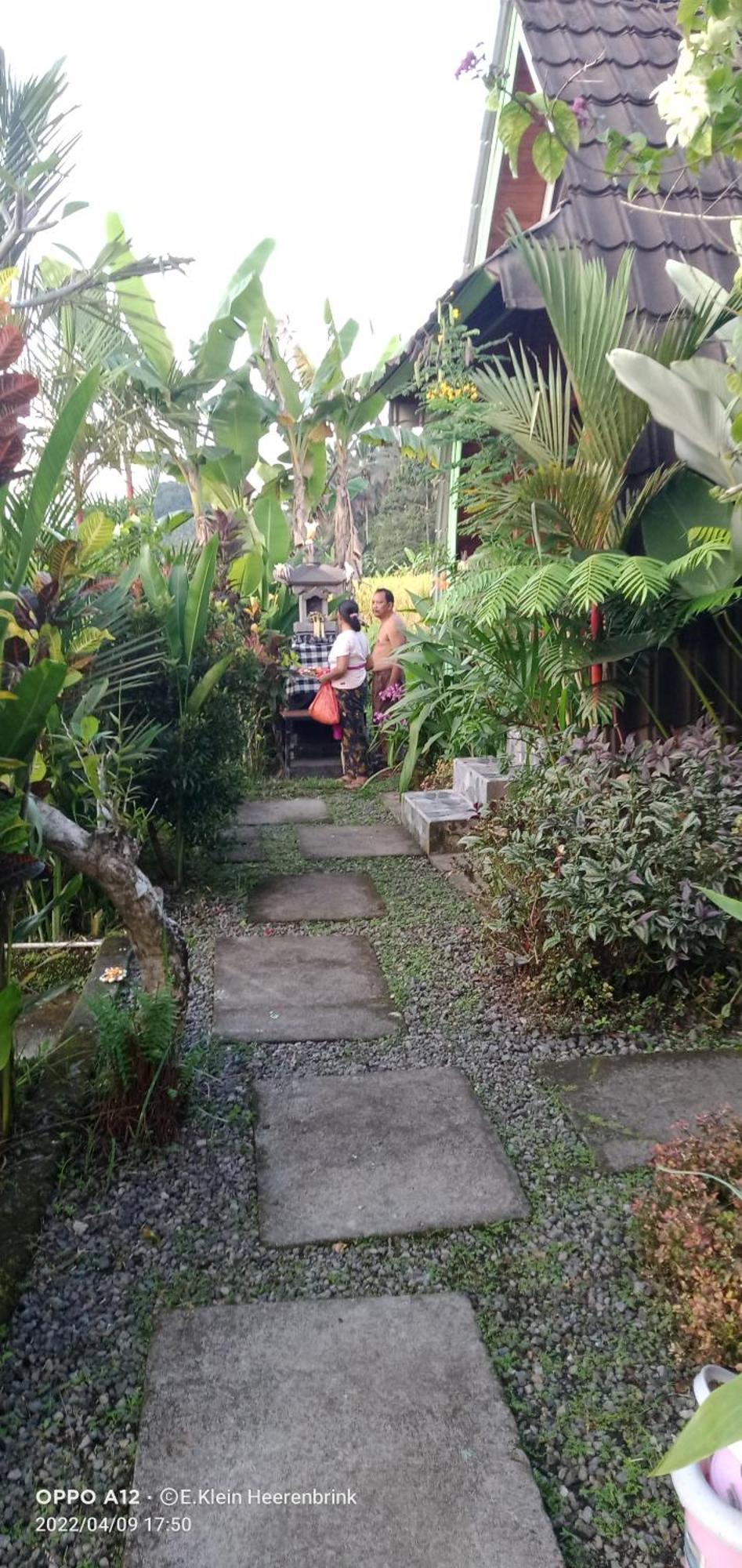 Leke Leke House Tegallalang Alojamento