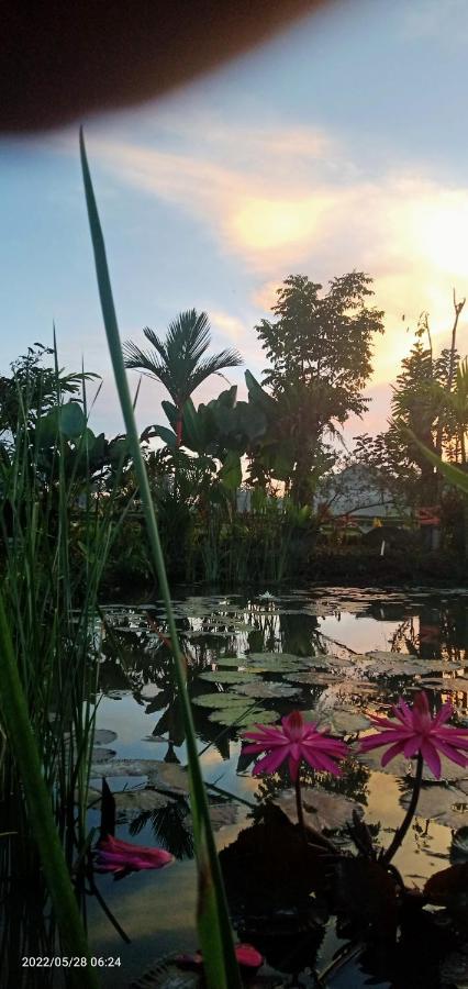Alojamento Leke Leke House Tegallalang Ubud