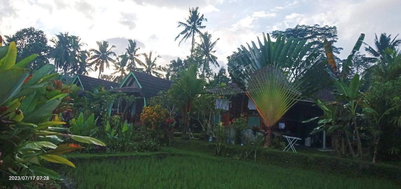 Leke Leke House Tegallalang Alojamento *