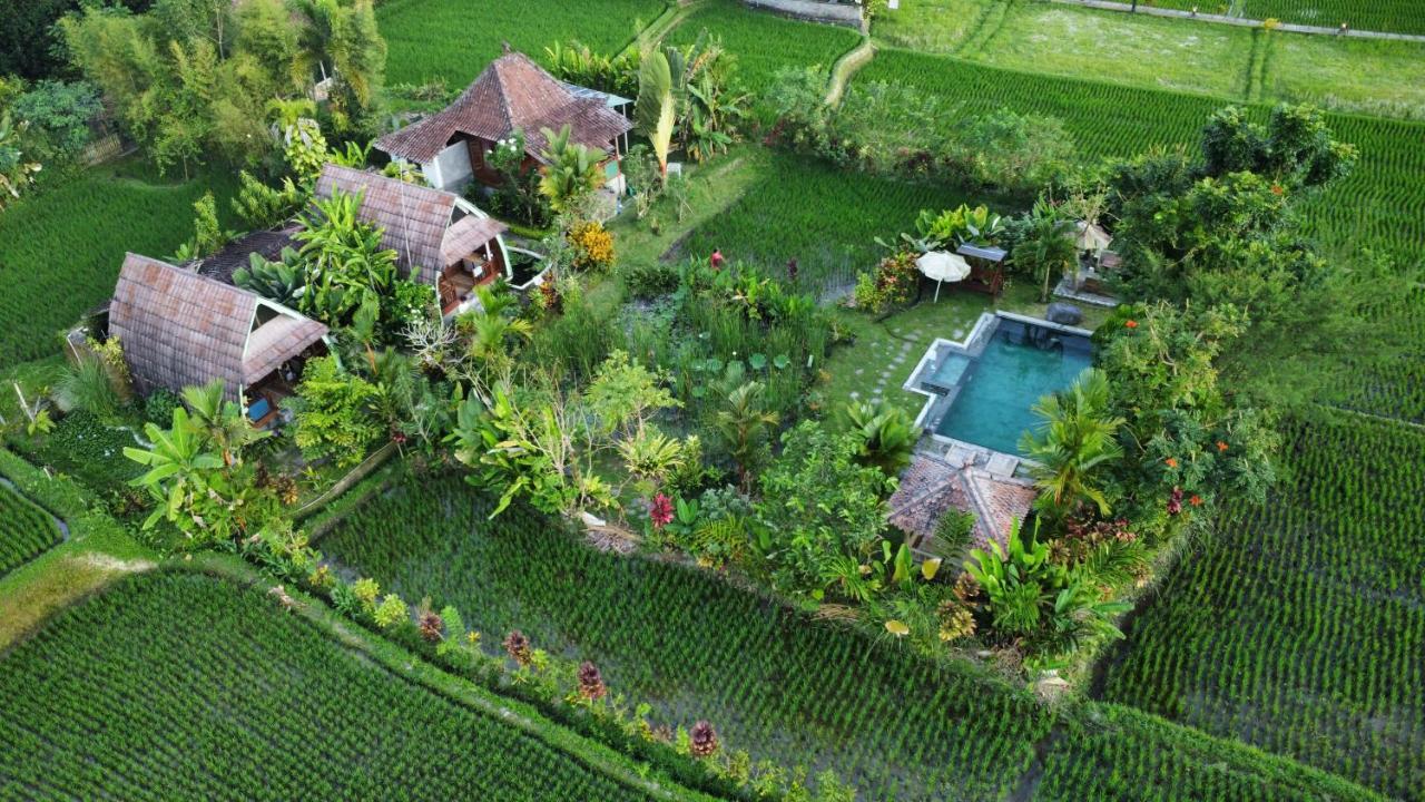 Alojamento Leke Leke House Tegallalang Ubud