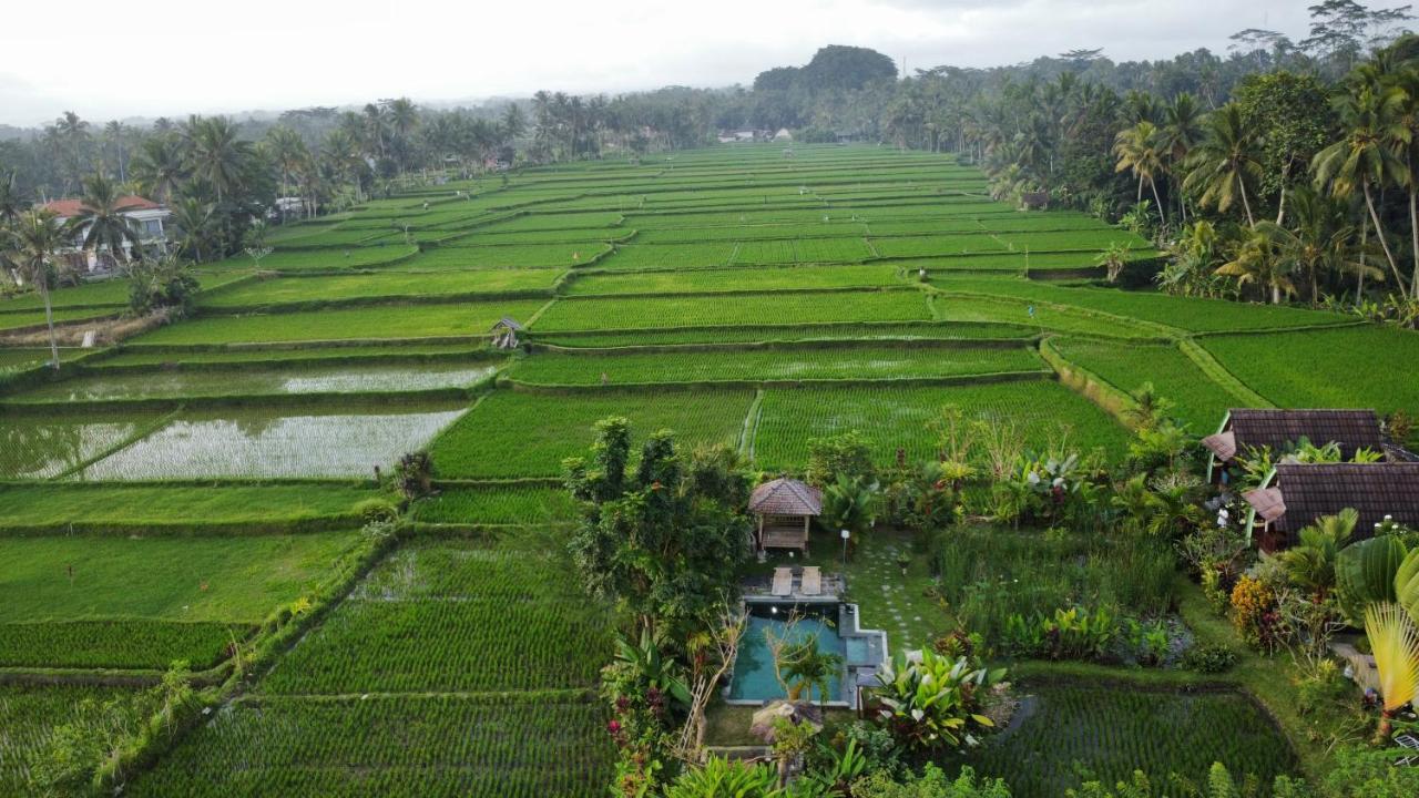 Leke Leke House Tegallalang Alojamento Ubud