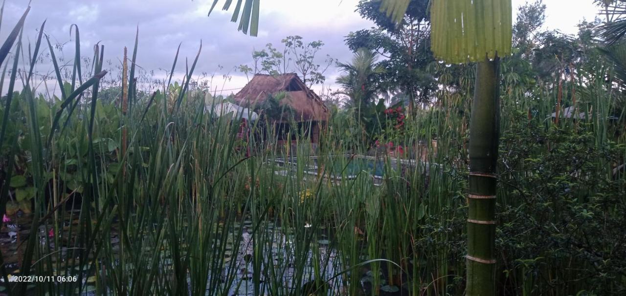 Lodge Leke Leke House Tegallalang *